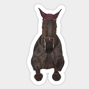 Seal Bay Show Jumper Front Sticker